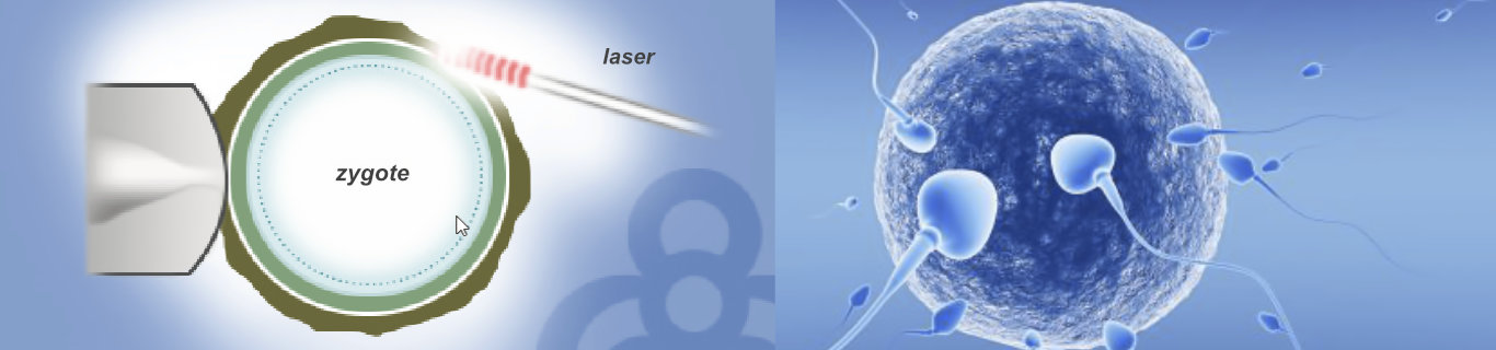 Best Fertility, Laproscopy & IVF Center In Jaipur, India